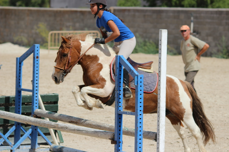 Ponis Pony Club Poni Welsh - VENDO CABALLOS Y PONIS POR CIERRE DE ESCUELA