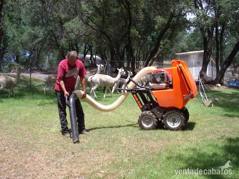 La solución para mantener limpias cuadras, establos, caballerizas, establos,..... - Remolques de caballos in 