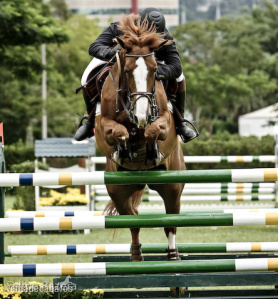 PONY D CAMPEON DE SALTO in 