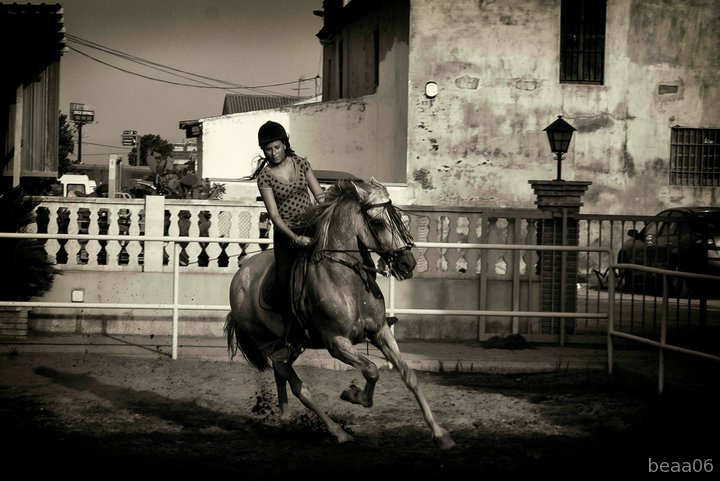 Compro Caballo Salto in 