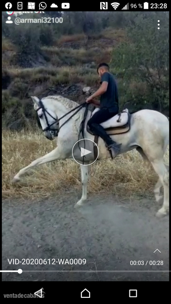 Vendo yegua con muy buenos movimientos - Cruzada