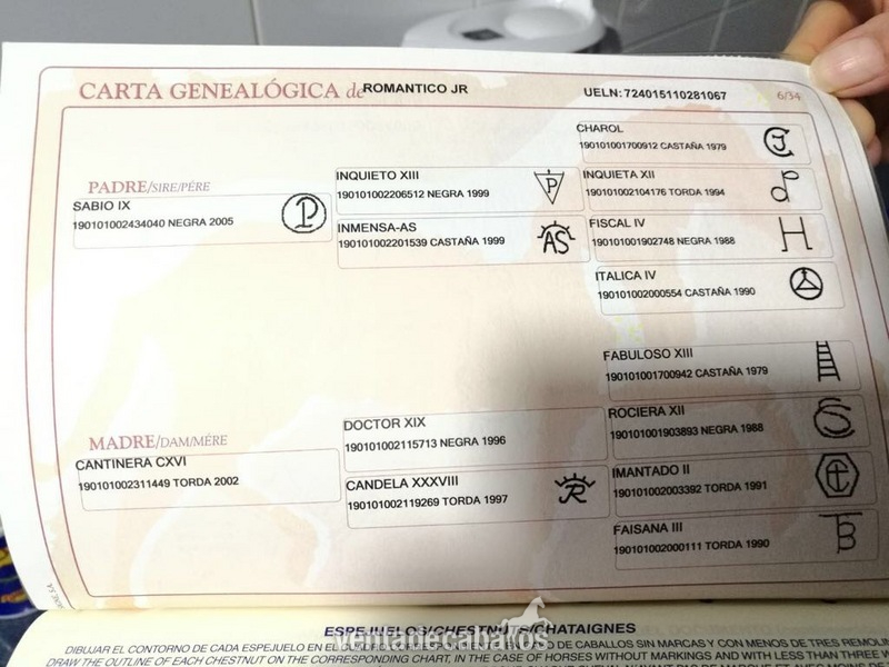 Pura Raza Española