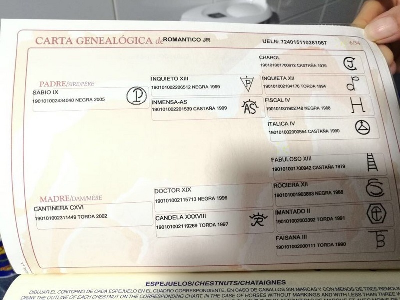 Pura Raza Española