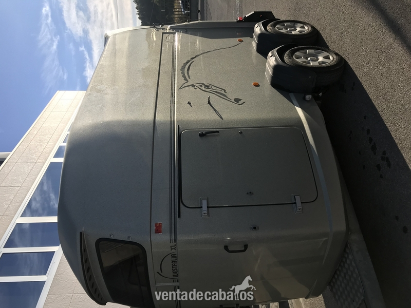 Venta van - Remolques de caballos