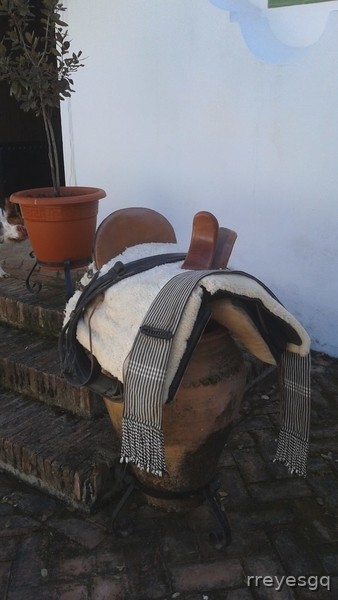 Silla vaquera amazona in 