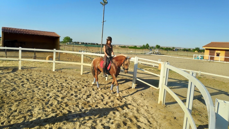 Lusitano {TYPE}