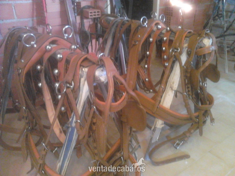 GUARNICION DE ENGANCHE in 