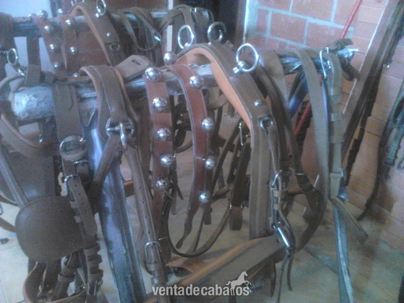 GUARNICION DE ENGANCHE