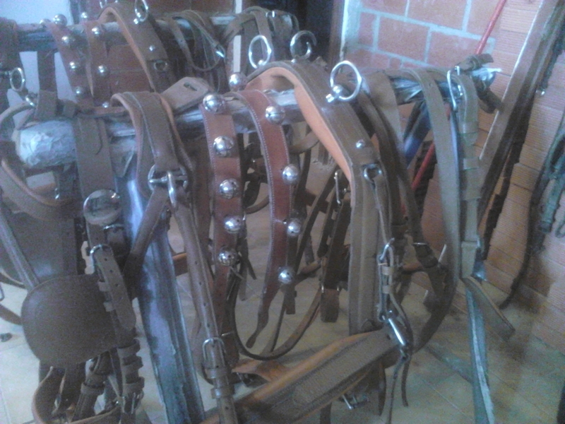 GUARNICION DE ENGANCHE
