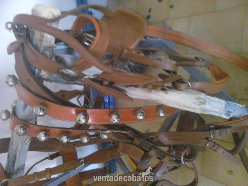 GUARNICION DE ENGANCHE - Equipación y Ropa de Jinete in 