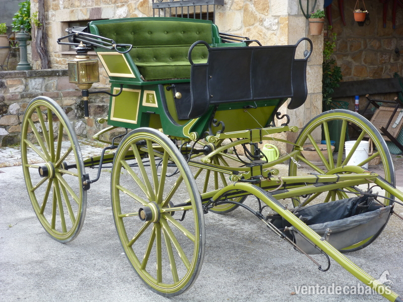 Buggy en madera con capota in 