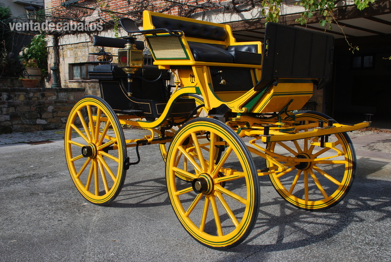 Coche de caballos Faeton in 