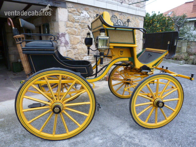 Coche de caballos Faeton