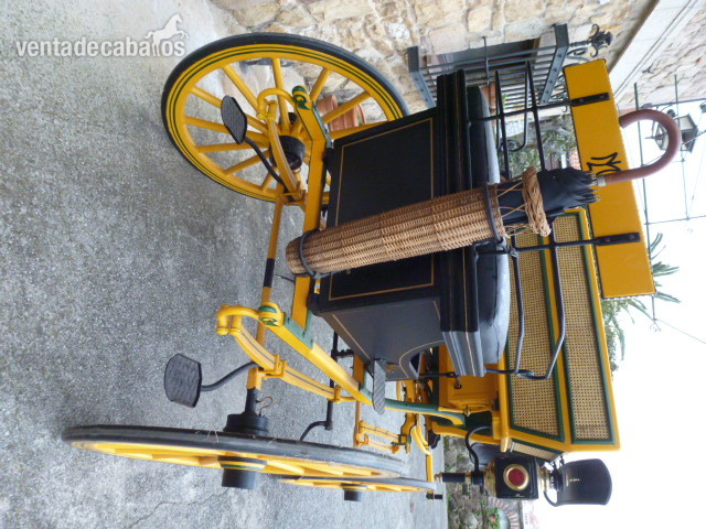  Coche de caballos Faeton
