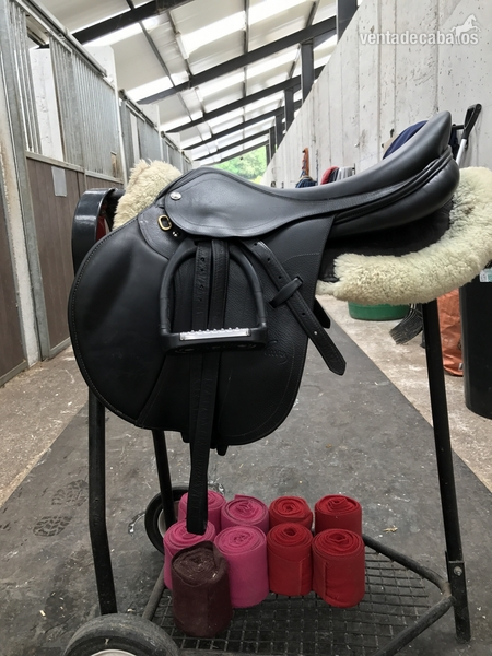 Silla salto Pessoa Legacy XP3 in 