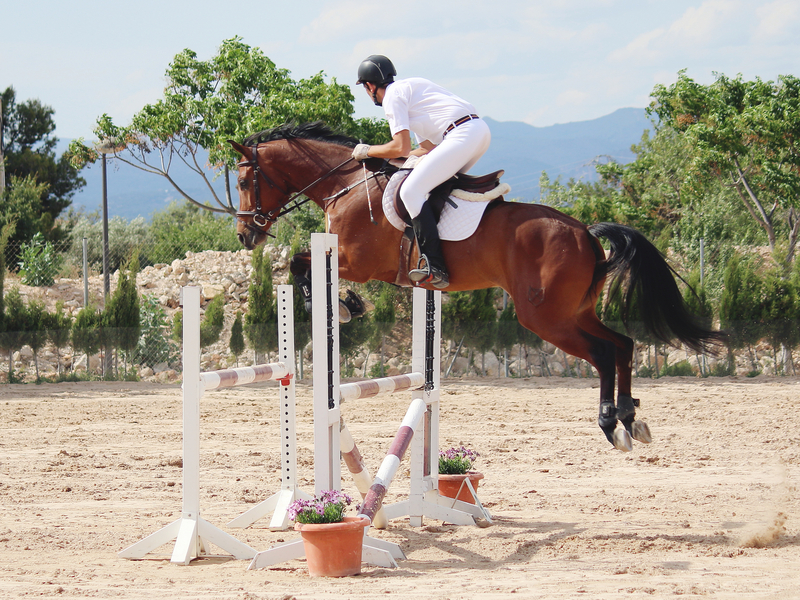  Caballo CDE salto y doma.