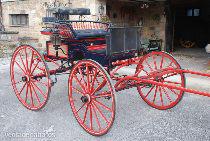 Coche de caballos tipo buggy americano