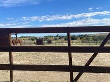 FINCA PERFECTO PARA AMANTES DE CABALLOS!