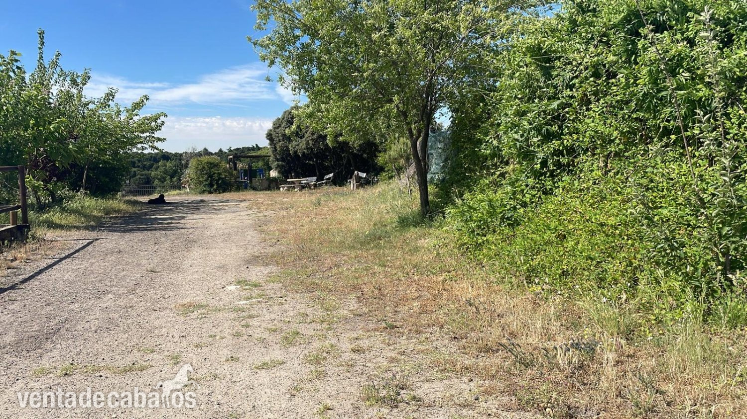 FINCA PERFECTO PARA AMANTES DE CABALLOS! - Finca ecuestre in Madrid