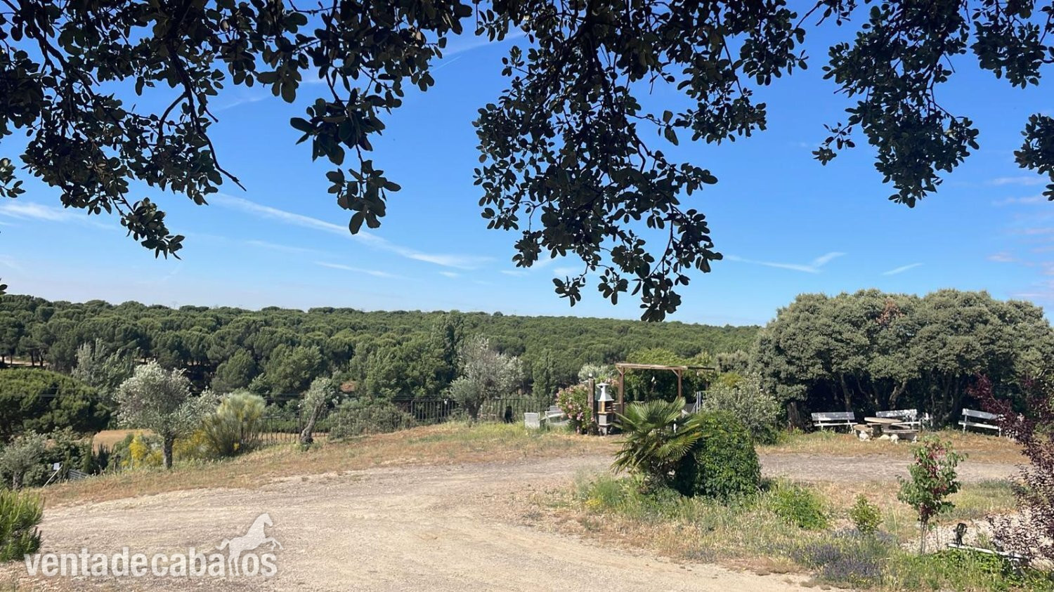 Finca ecuestre - FINCA PERFECTO PARA AMANTES DE CABALLOS! in Madrid