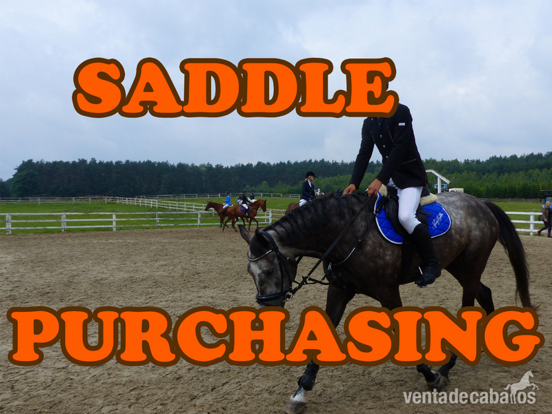 SADDLE SEARCH - ALL TYPES UND MARKS in 