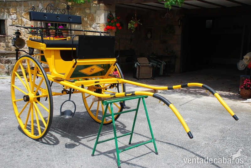 Coche de caballos Tilbury in 