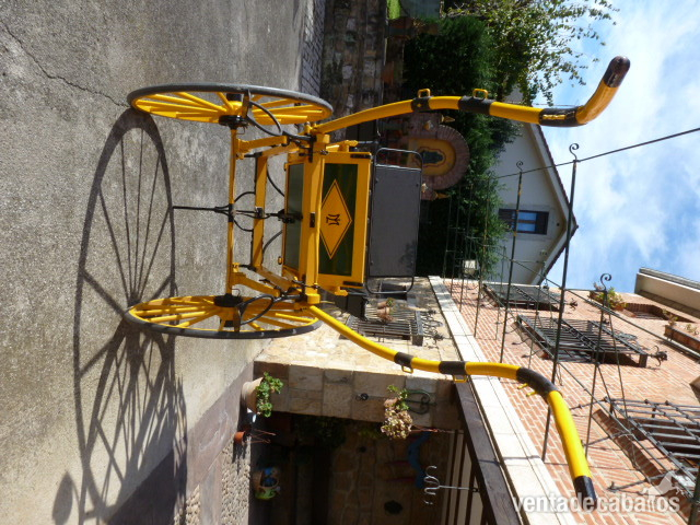 Coche de caballos Tilbury 