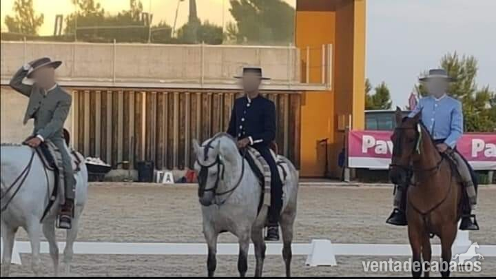 Pura Raza Española