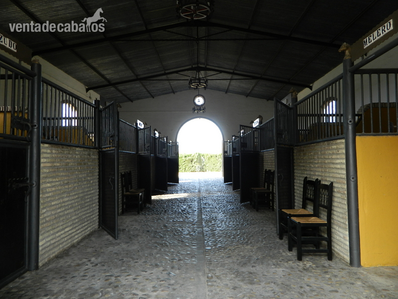 chiclana Yeguada EL Chaparral (Chiclana, Cadiz)