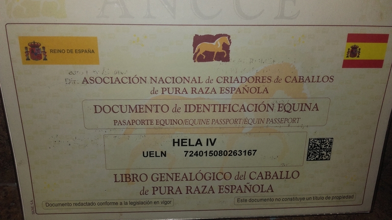 Pura Raza Española