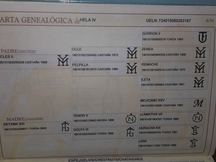 se vende p.r.e. torda