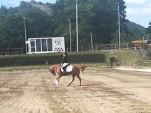 Venta preciosa pony alazana