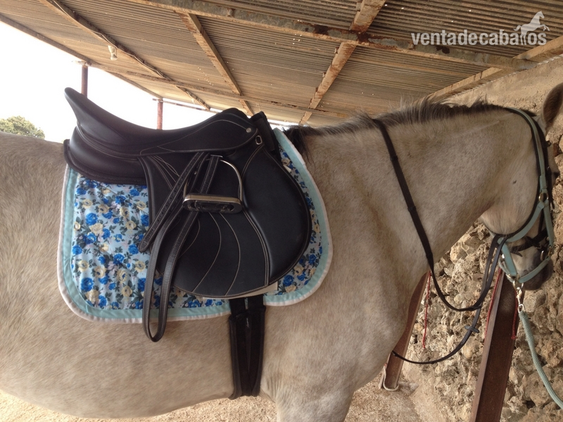Mantilla personalizada