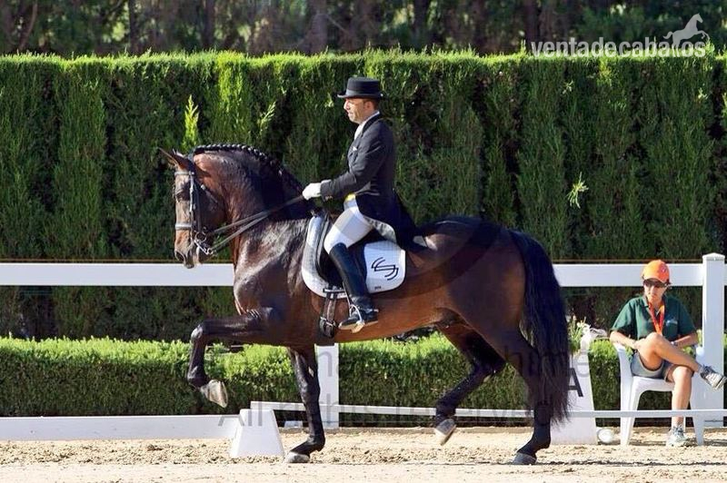 P.R.E. Gran Premio in 