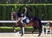 P.R.E. Gran Premio
