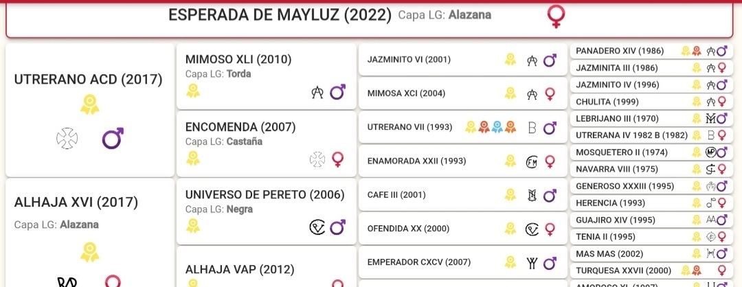 Potra pre alazana  - Caballos Pura Raza Española (P.R.E.) EMPTY