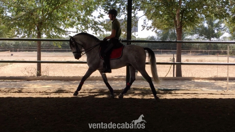 PRE {TYPE}