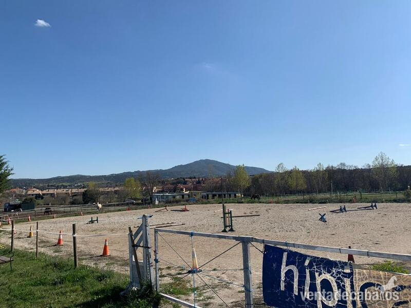 Hípica + Vivienda