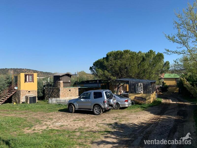 Guadalix de la Sierra Hípica + Vivienda
