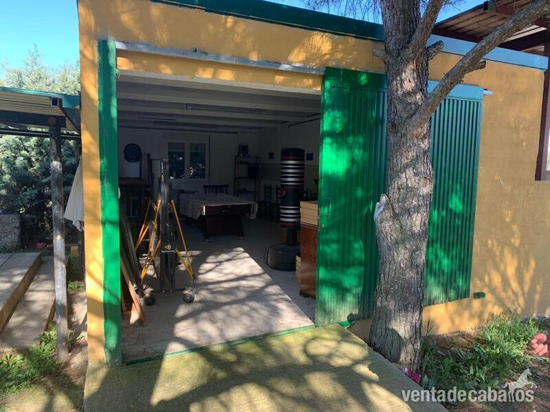 Finca ecuestre - Hípica + Vivienda in Guadalix de la Sierra