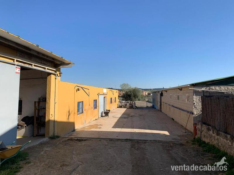 Finca ecuestre - Hípica + Vivienda