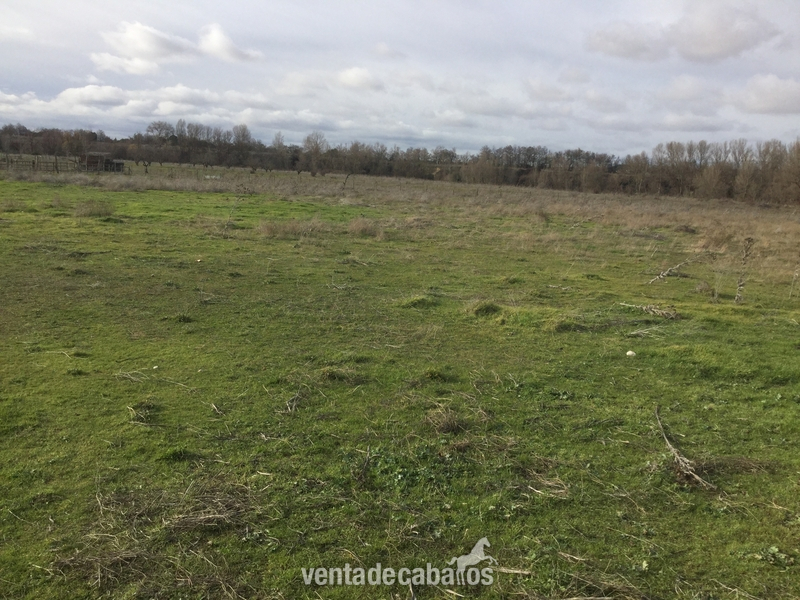 Finca Para Cria Y Descanso de Caballos o Vacuno in Valladolid 