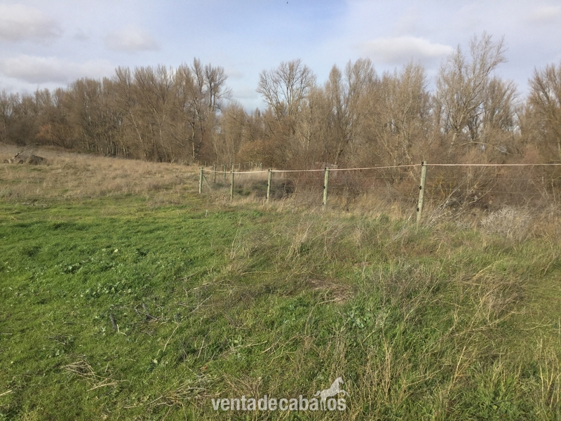 Finca Para Cria Y Descanso de Caballos o Vacuno