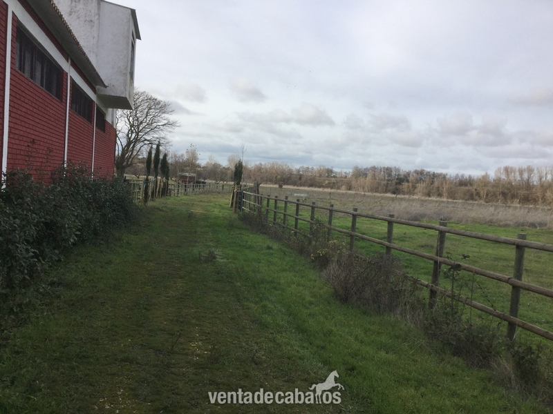 Valladolid  Finca Para Cria Y Descanso de Caballos o Vacuno