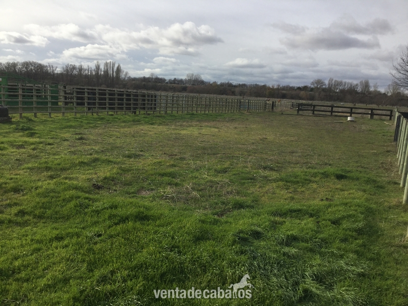 Finca Para Cria Y Descanso de Caballos o Vacuno - Hípicas y establos en venta in Valladolid 