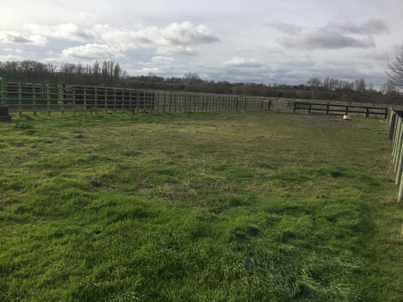 Finca Para Cria Y Descanso de Caballos o Vacuno - Hípicas y establos en venta in Valladolid 