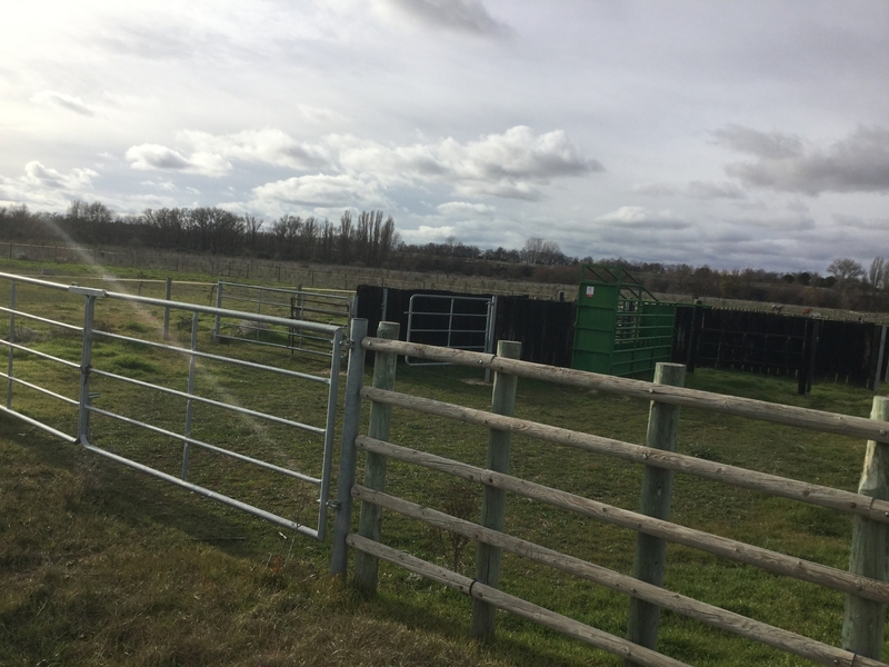 Finca Para Cria Y Descanso de Caballos o Vacuno - Hípicas y establos en venta