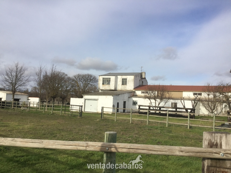 Finca Para Cria Y Descanso de Caballos o Vacuno Valladolid 