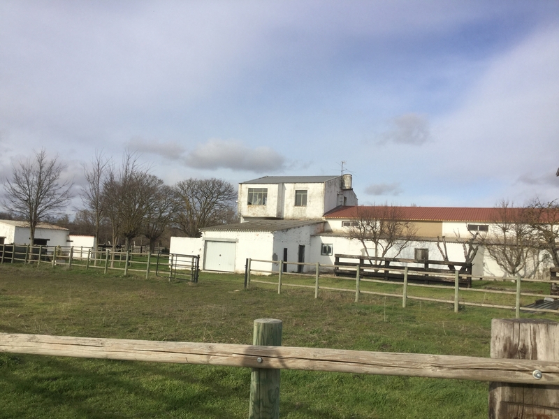 Finca Para Cria Y Descanso de Caballos o Vacuno Valladolid 