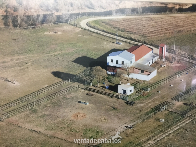 Hípicas y establos en venta - Finca Para Cria Y Descanso de Caballos o Vacuno in Valladolid 